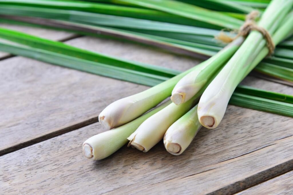 substitutes of lemongrass