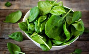 how to store spinach