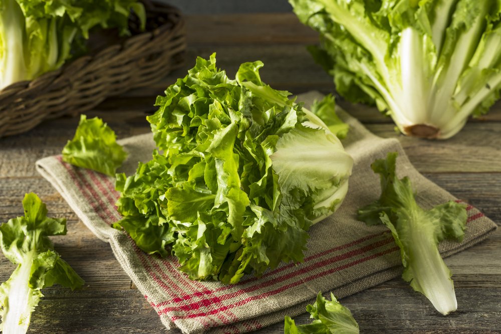 Escarole Substitute-and alternatives