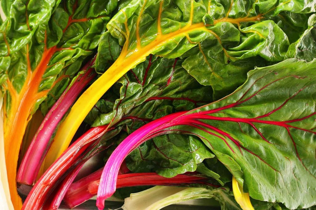 can you freeze swiss chard