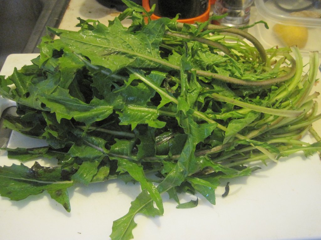 dandelion greens