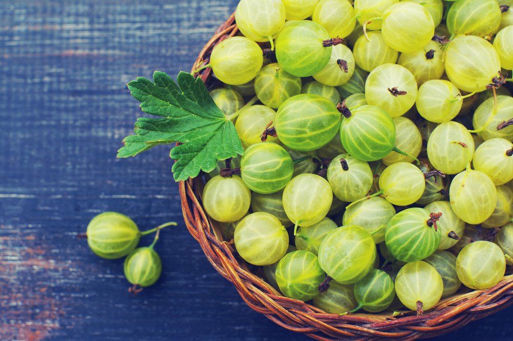 gooseberries images