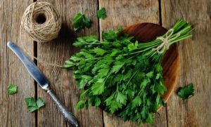 parsley image