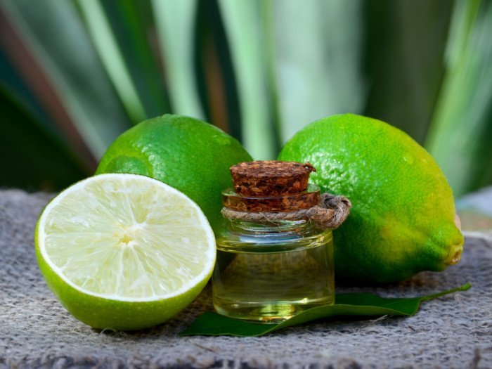 lime oil image