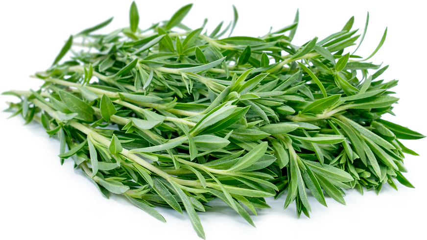 savory herb image