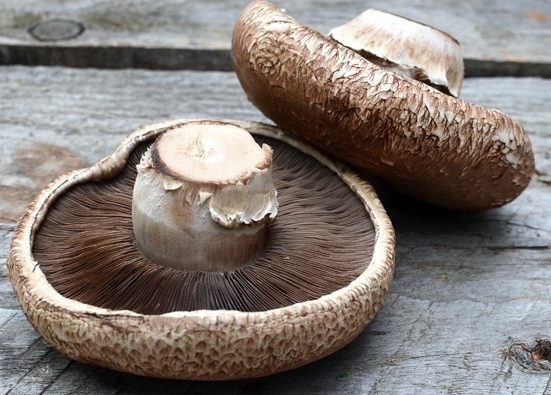 Portobello-Mushroom-kookybakes.com