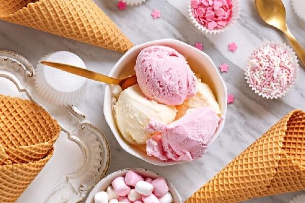 Rival ice cream maker recipe