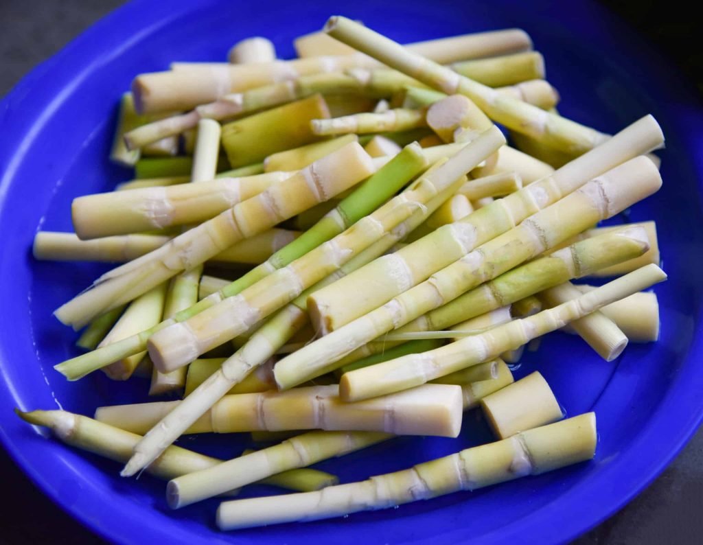 Bamboo Shoots