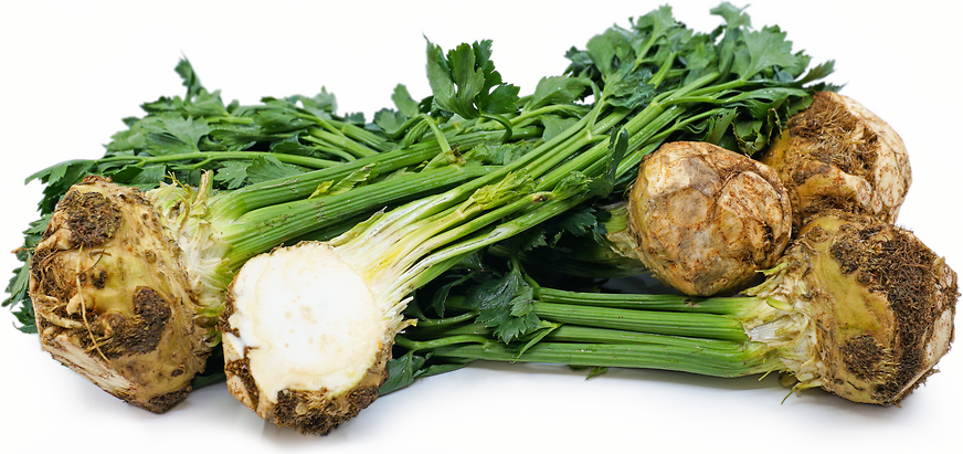 Celery root