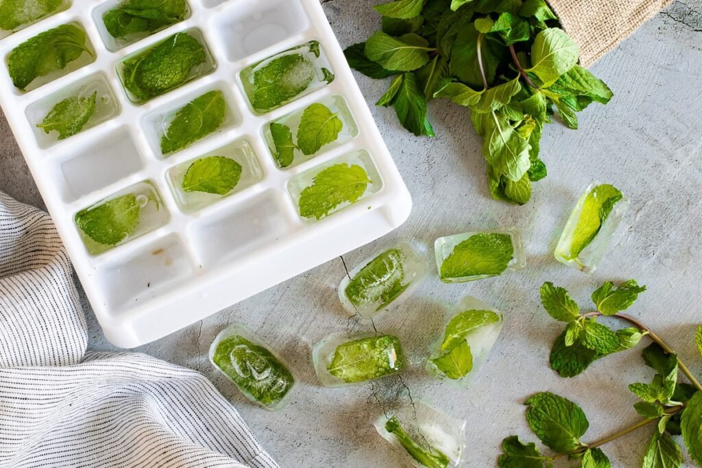 How-to-Freeze-Mint-at-Home in ice cube tray easily-kookybakes.com